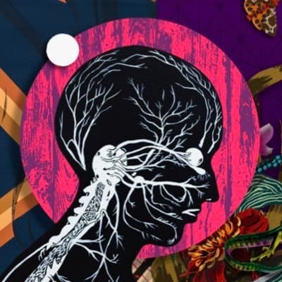 Amir H. Fallah Profile Picture